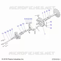 TRASMISSIONE, PRIMARY CLUTCH