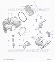 ENGINE, CORPO FARFALLATO AND FUEL RAIL