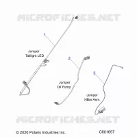 ELETTRICO, JUMPER WIRES