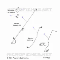 ELETTRICO, JUMPER WIRES