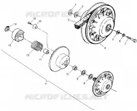 FRIZIONE DRIVEN Trail Boss W968527 (4935883588B011)