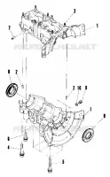 CARTER (4909550955015A)