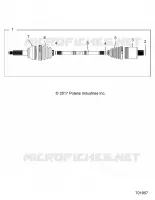 DRIVE TRAIN, POSTERIORE DRIVE SHAFT (FROM 7/17/2017)