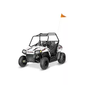 RZR 170