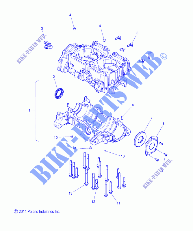 CARTER   S15DF8 ALL OPZIONI (49SNOWCARTER158CH) per Polaris RUSH 2015