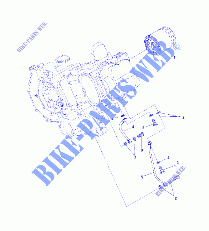 FILTRO DELL'OLIO   A02CD50AA/AB/FB (4970197019E02) per Polaris MAGNUM 500 RMK 2002